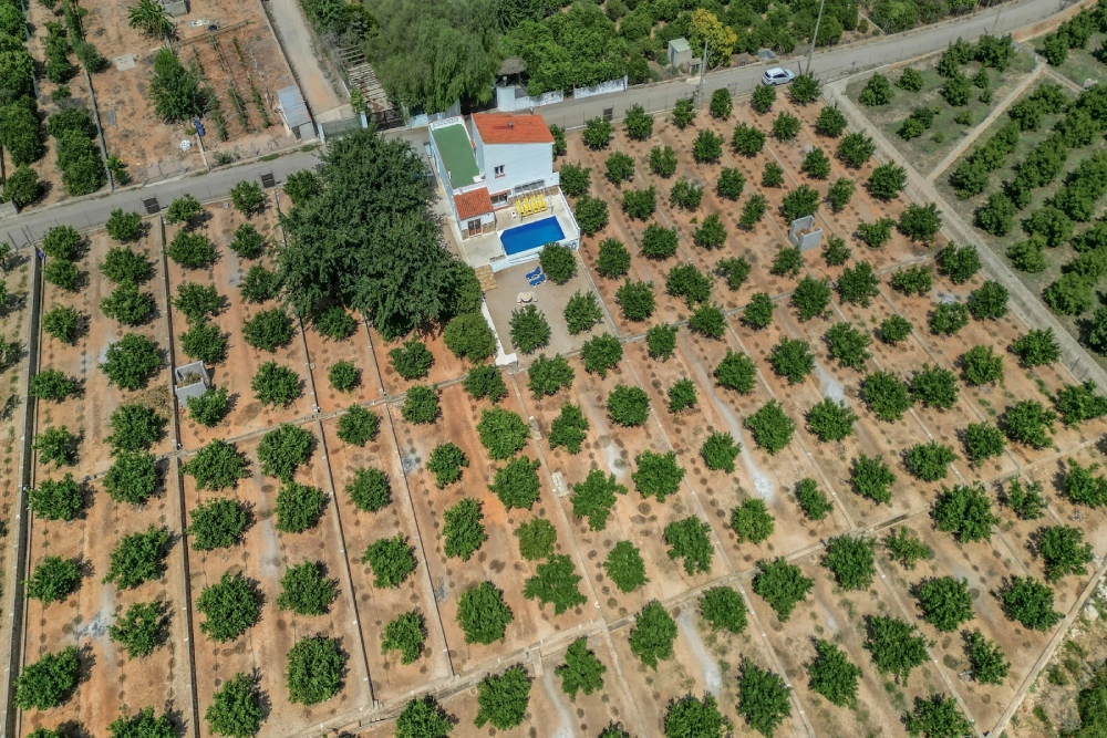 Casa de la finca rodeada de naranjos